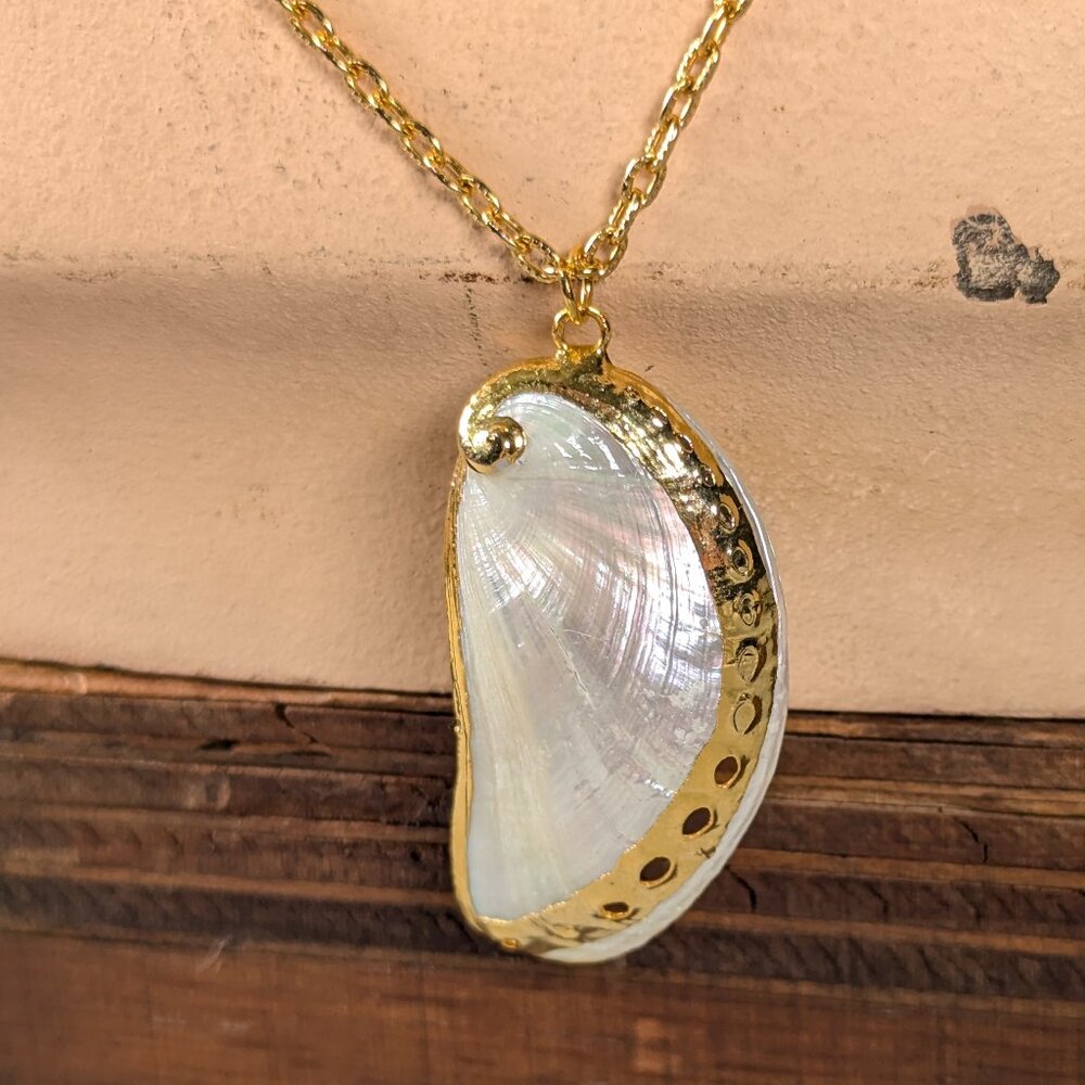 Gold plated Real seashell pendant on 24" gold tone chain necklace